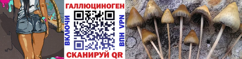Псилоцибиновые грибы Magic Shrooms Белгород